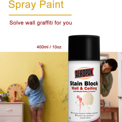 Aerosol 400ml Wall Renew Paint Spray for Interior Walls