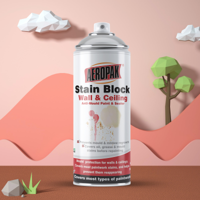 Aerosol 400ml Wall Renew Paint Spray for Interior Walls