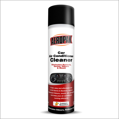 MSDS High Quality Powerful Air Conditioner Cleaner Spray