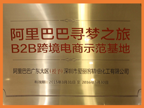 荣誉证书Alibaba B2B Training Base