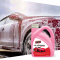 Aeropak 1000ml Car Cleaning Products Car Shampoo