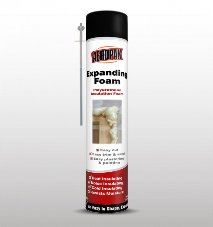 AEROPAK Foam Spray Insulation Kits 500ml/750ml (ROHS certificate)